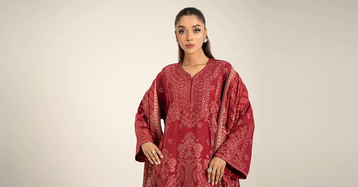 3 Piece Embroidered Pashmina Wool Suit | DW-W24-14