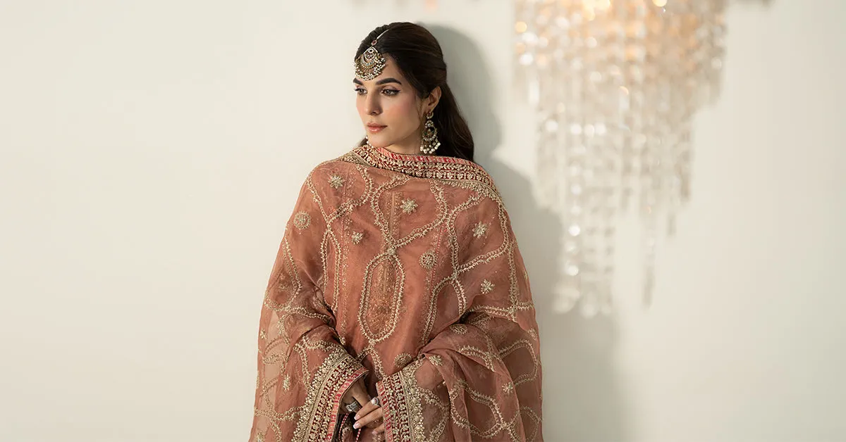 3 Piece Embroidered Zari Net Suit | SF-W24-24