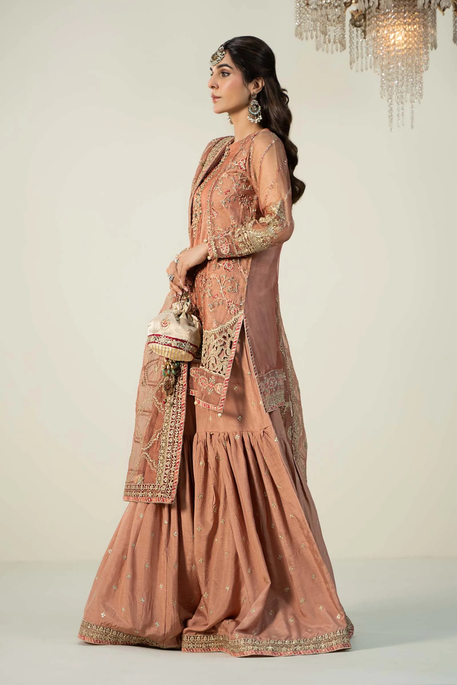 3 Piece Embroidered Zari Net Suit | SF-W24-24