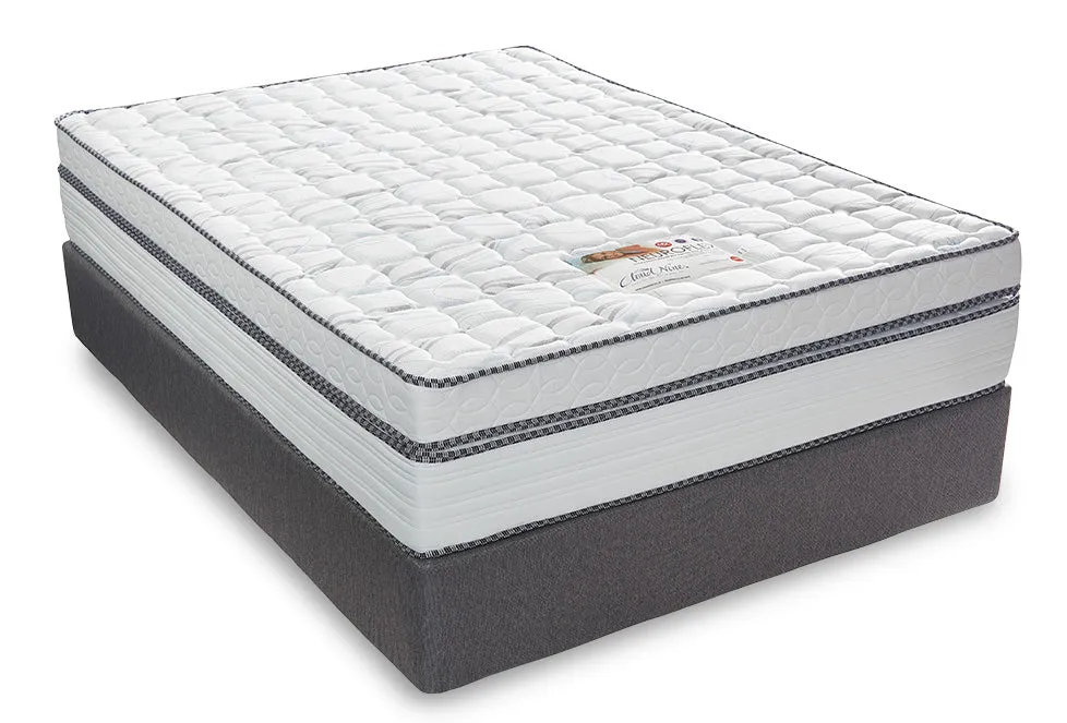 Cloud Nine Neuroflex BT Queen Bed