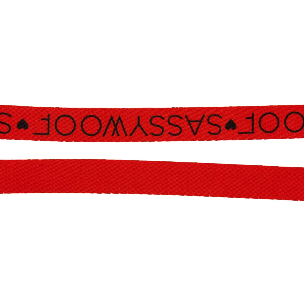 Dog Leash - Neon Red