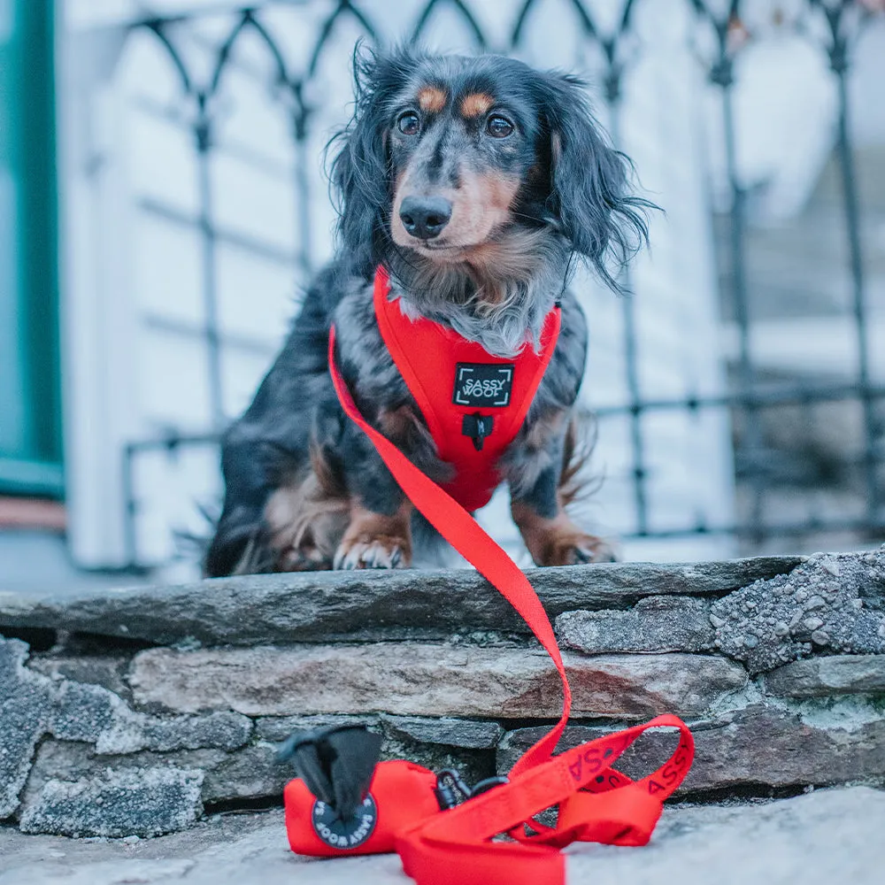 Dog Leash - Neon Red