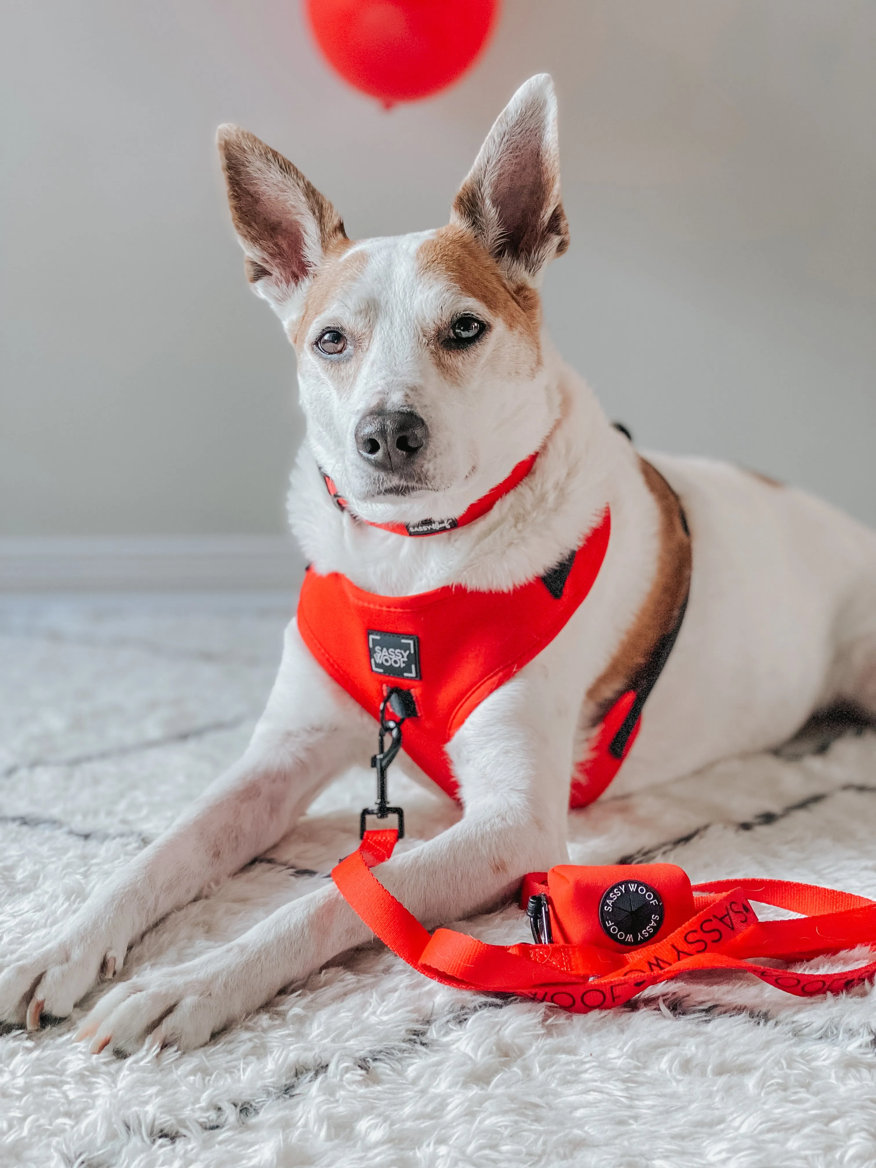 Dog Leash - Neon Red