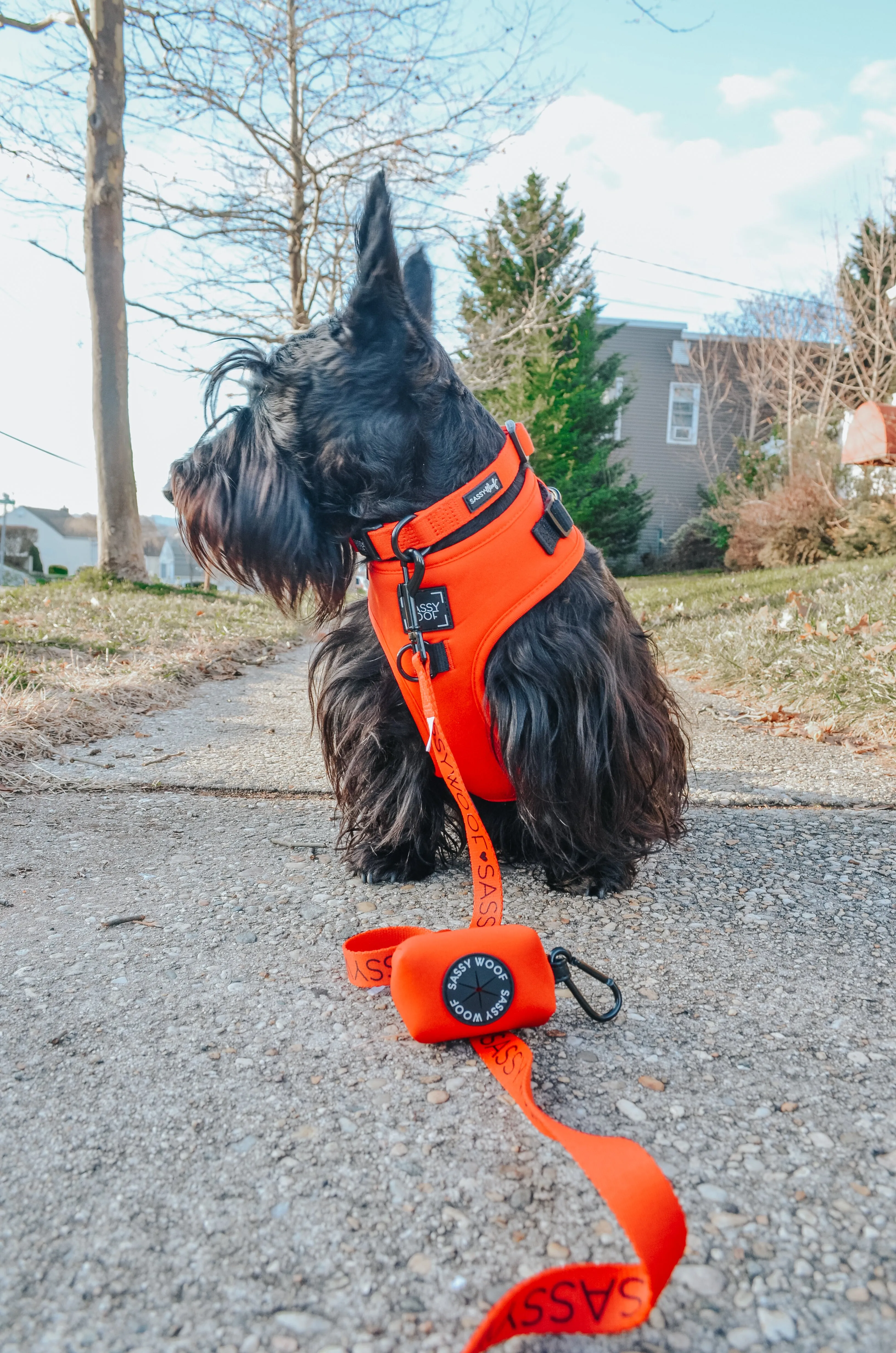 Dog Leash - Neon Red