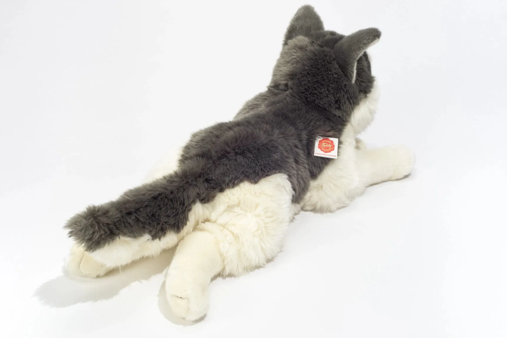 Husky Large Size Lying Down by Teddy Hermann