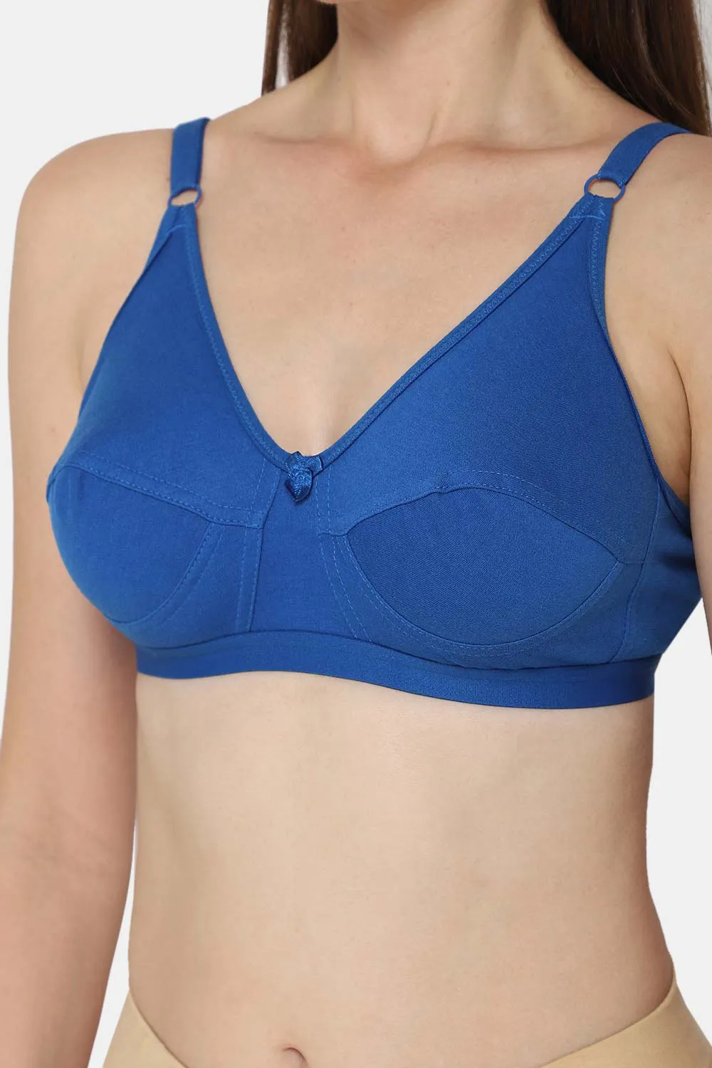 Intimacy Saree Bra Special Combo Pack - INT01 - C43