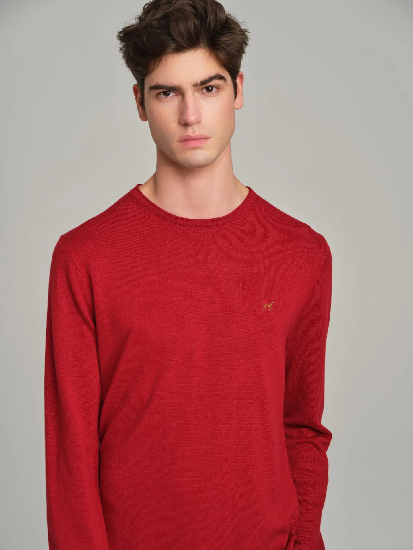 Long sleeve crew neck sweater