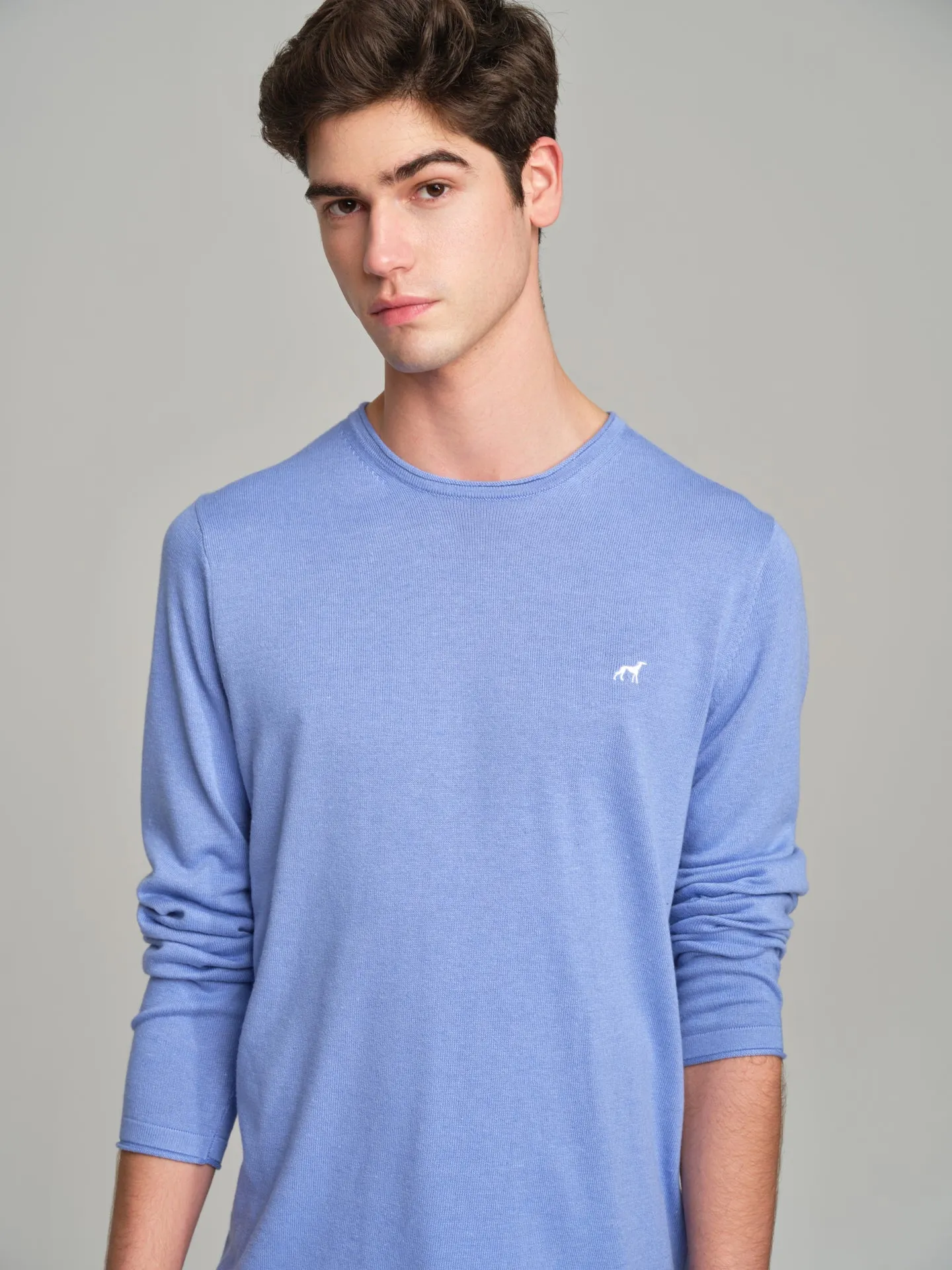 Long sleeve crew neck sweater