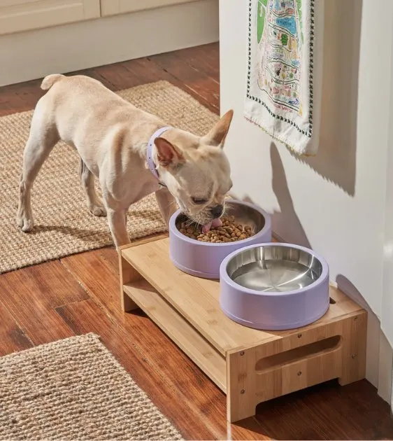 Wild One Nonslip Stainless Steel Dog Bowl (Spruce)