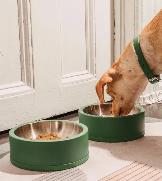 Wild One Nonslip Stainless Steel Dog Bowl (Spruce)